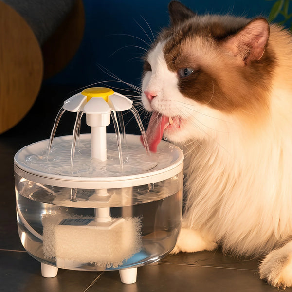 Katzen Trinkbrunnen 1,2L – Automatischer USB Wasserbrunnen mit Filter