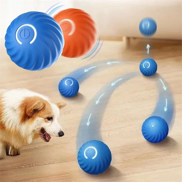Intelligenter Haustier Ball – Automatisches interaktives Hund & Katzen Spielzeug USB