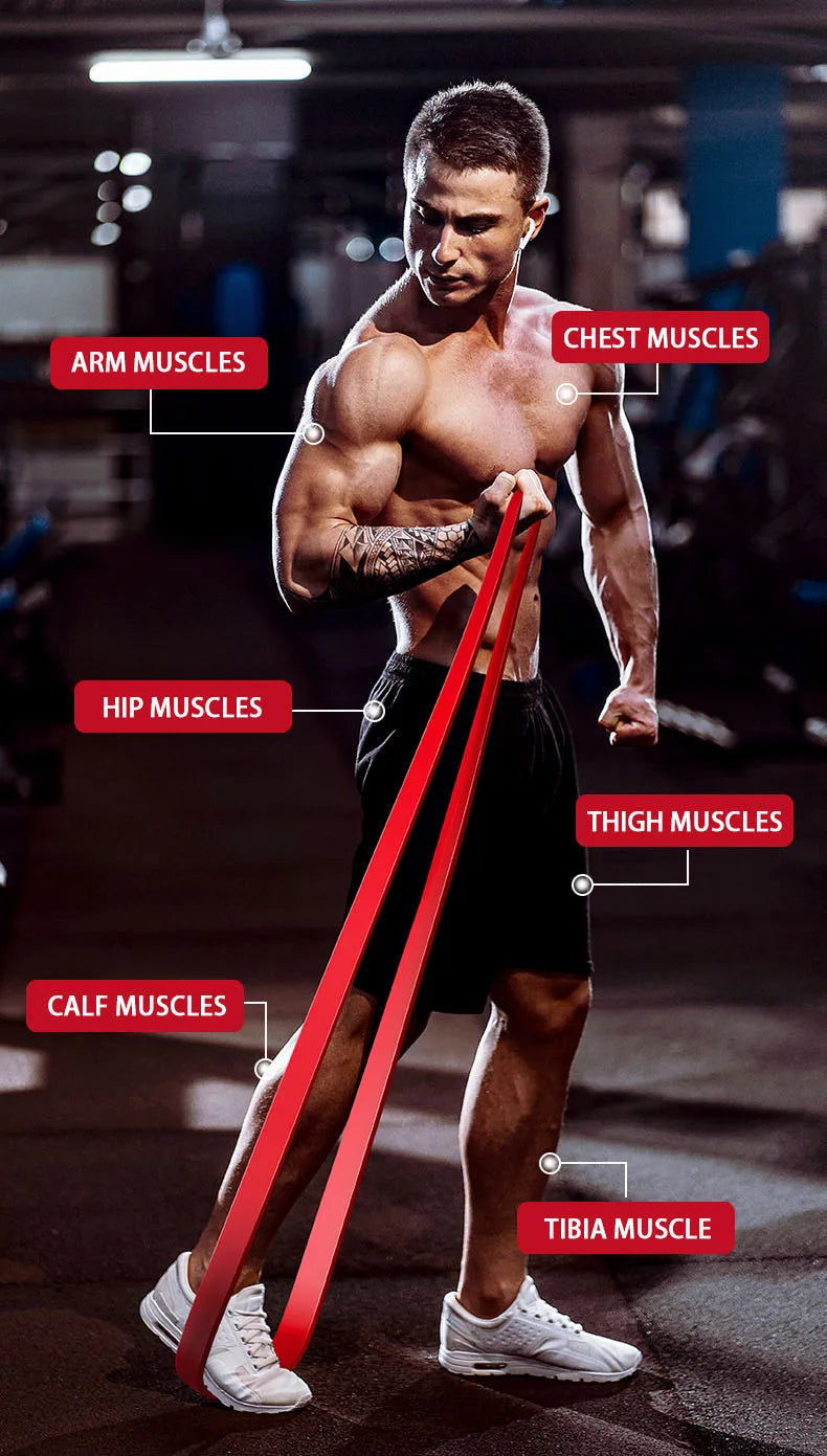 Fitness Widerstandsband Latex – Yoga & Krafttraining Resistance Band mit verschiedenen Stärken | Muskelaufbau & Bodyforming